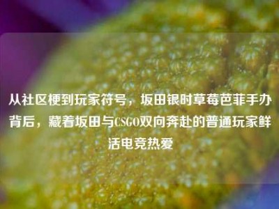 从社区梗到玩家符号，坂田银时草莓芭菲手办背后，藏着坂田与CSGO双向奔赴的普通玩家鲜活电竞热爱