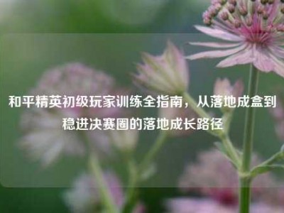 和平精英初级玩家训练全指南，从落地成盒到稳进决赛圈的落地成长路径