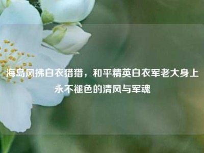 海岛风拂白衣猎猎，和平精英白衣军老大身上永不褪色的清风与军魂