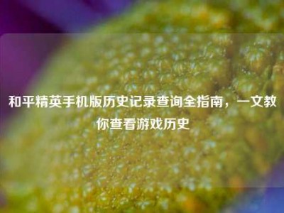 和平精英手机版历史记录查询全指南，一文教你查看游戏历史