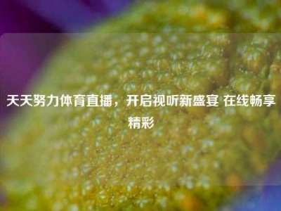 天天努力体育直播，开启视听新盛宴 在线畅享精彩