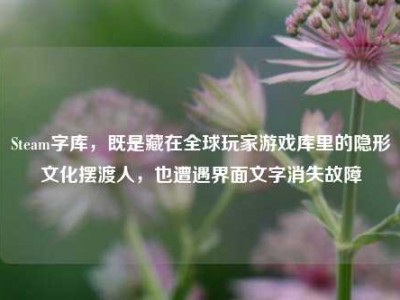 Steam字库，既是藏在全球玩家游戏库里的隐形文化摆渡人，也遭遇界面文字消失故障