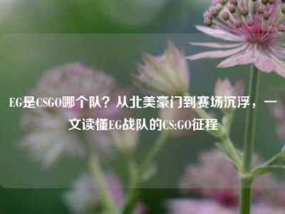 EG是CSGO哪个队？从北美豪门到赛场沉浮，一文读懂EG战队的CS:GO征程