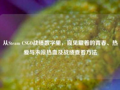 从Steam CSGO战绩数字里，窥见藏着的青春、热爱与未凉热血及战绩查看方法