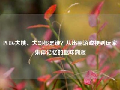 PUBG大姨、大哥都是谁？从出圈游戏梗到玩家集体记忆的趣味溯源