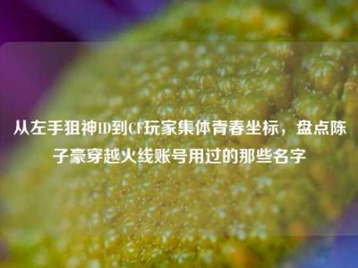 从左手狙神ID到CF玩家集体青春坐标，盘点陈子豪穿越火线账号用过的那些名字