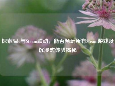 探索Nolo与Steam联动，能否畅玩所有Steam游戏及沉浸式体验揭秘