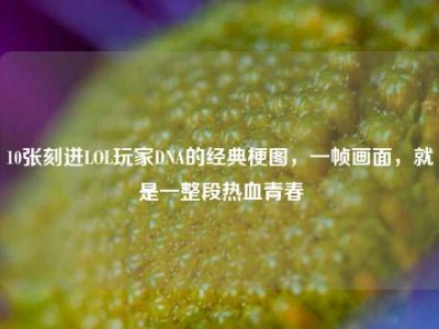 10张刻进LOL玩家DNA的经典梗图，一帧画面，就是一整段热血青春