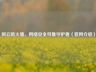 风云防火墙，网络安全可靠守护者（官网介绍）