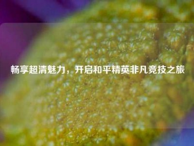 畅享超清魅力，开启和平精英非凡竞技之旅