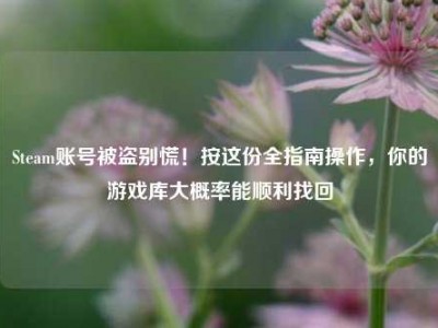 Steam账号被盗别慌！按这份全指南操作，你的游戏库大概率能顺利找回