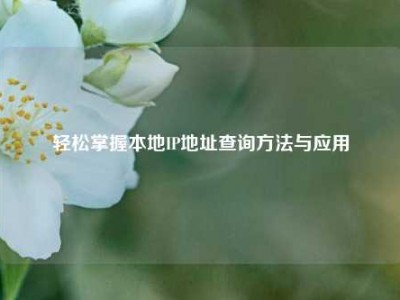 轻松掌握本地IP地址查询方法与应用