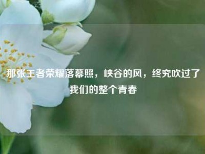 那张王者荣耀落幕照，峡谷的风，终究吹过了我们的整个青春
