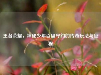 王者荣耀，神秘少年百里守约的传奇玩法与征程