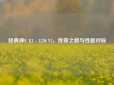 经典神U E3 - 1230 V2，传奇之路与性能对标