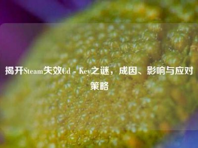 揭开Steam失效Cd - Key之谜，成因、影响与应对策略