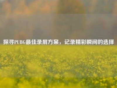 探寻PUBG最佳录屏方案，记录精彩瞬间的选择