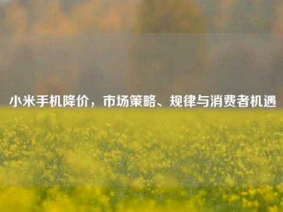 小米手机降价，市场策略、规律与消费者机遇