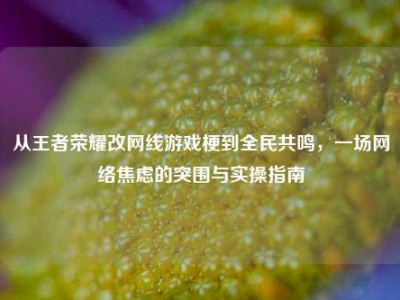 从王者荣耀改网线游戏梗到全民共鸣，一场网络焦虑的突围与实操指南