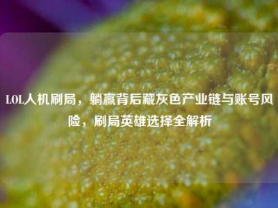 LOL人机刷局，躺赢背后藏灰色产业链与账号风险，刷局英雄选择全解析