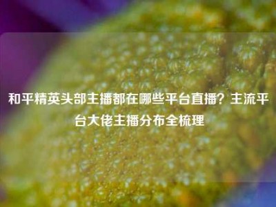 和平精英头部主播都在哪些平台直播？主流平台大佬主播分布全梳理