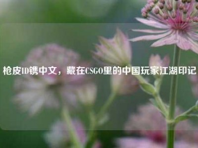 枪皮ID镌中文，藏在CSGO里的中国玩家江湖印记
