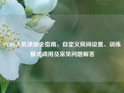 PUBG人机添加全指南，自定义房间设置、训练模式调用及常见问题解答