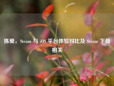 拣爱，Steam 与 iOS 平台体验对比及 Steam 下载相关