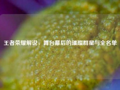 王者荣耀解说，舞台幕后的璀璨群星与全名单