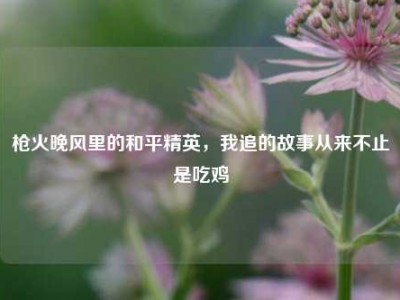 枪火晚风里的和平精英，我追的故事从来不止是吃鸡