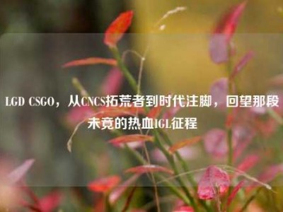 LGD CSGO，从CNCS拓荒者到时代注脚，回望那段未竟的热血IGL征程