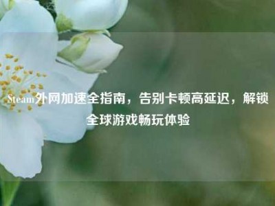 Steam外网加速全指南，告别卡顿高延迟，解锁全球游戏畅玩体验