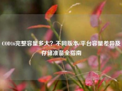 COD16完整容量多大？不同版本/平台容量差异及存储准备全指南