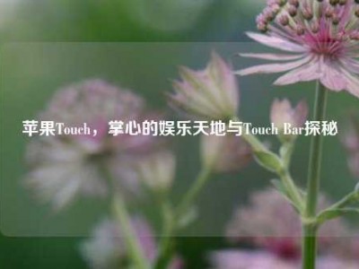 苹果Touch，掌心的娱乐天地与Touch Bar探秘
