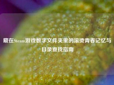 藏在Steam游戏数字文件夹里的滚烫青春记忆与目录查找指南