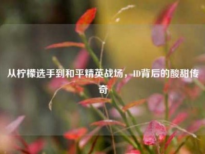 从柠檬选手到和平精英战场，ID背后的酸甜传奇