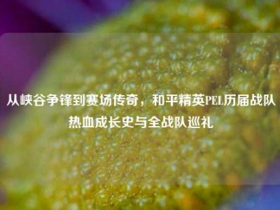 从峡谷争锋到赛场传奇，和平精英PEL历届战队热血成长史与全战队巡礼