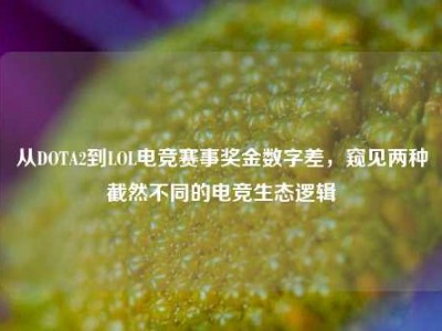 从DOTA2到LOL电竞赛事奖金数字差，窥见两种截然不同的电竞生态逻辑