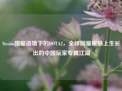 Steam国服语境下的DOTA2，全球同服根脉上生长出的中国玩家专属江湖