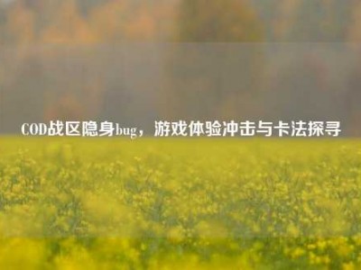 COD战区隐身bug，游戏体验冲击与卡法探寻