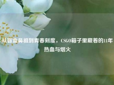 从盲盒鼻祖到青春刻度，CSGO箱子里藏着的11年热血与烟火