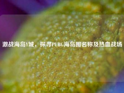 激战海岛Y城，探寻PUBG海岛图名称及热血战场