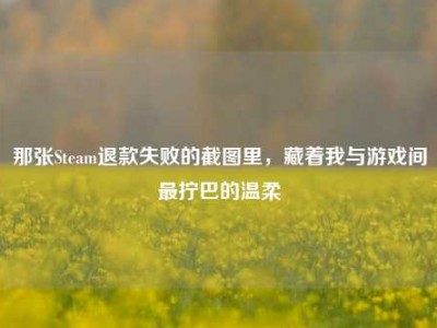 那张Steam退款失败的截图里，藏着我与游戏间最拧巴的温柔