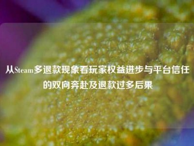 从Steam多退款现象看玩家权益进步与平台信任的双向奔赴及退款过多后果