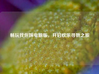 畅玩找你妹电脑版，开启欢乐寻物之旅
