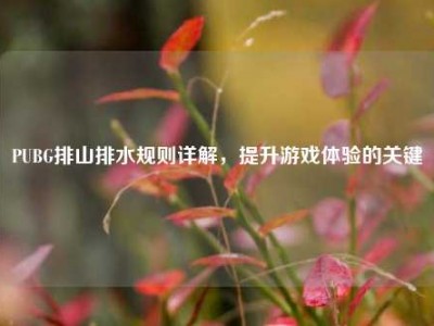 PUBG排山排水规则详解，提升游戏体验的关键