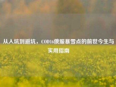 从入坑到避坑，COD16俄服暴雪点的前世今生与实用指南