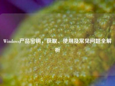 Windows产品密钥，获取、使用及常见问题全解析