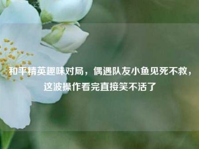 和平精英趣味对局，偶遇队友小鱼见死不救，这波操作看完直接笑不活了