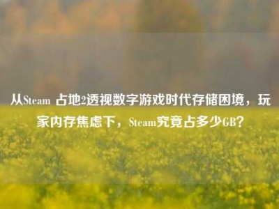 从Steam 占地2透视数字游戏时代存储困境，玩家内存焦虑下，Steam究竟占多少GB？
